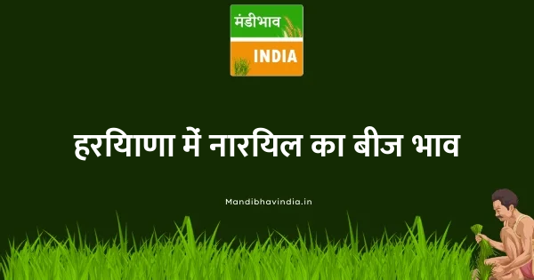 Coconut Seed भाव